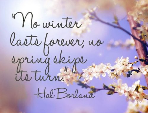 No Winter Lasts Forever