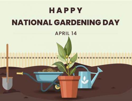 Happy Gardening Day!