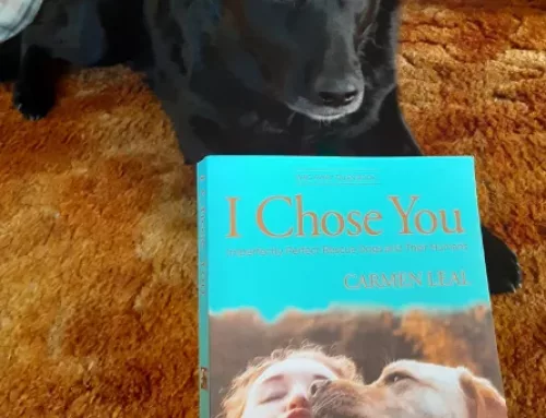 Official Mom-Tested, Kimber-Approved Pawsome Book Award!