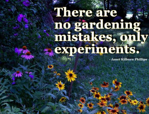 No Gardening Mistakes